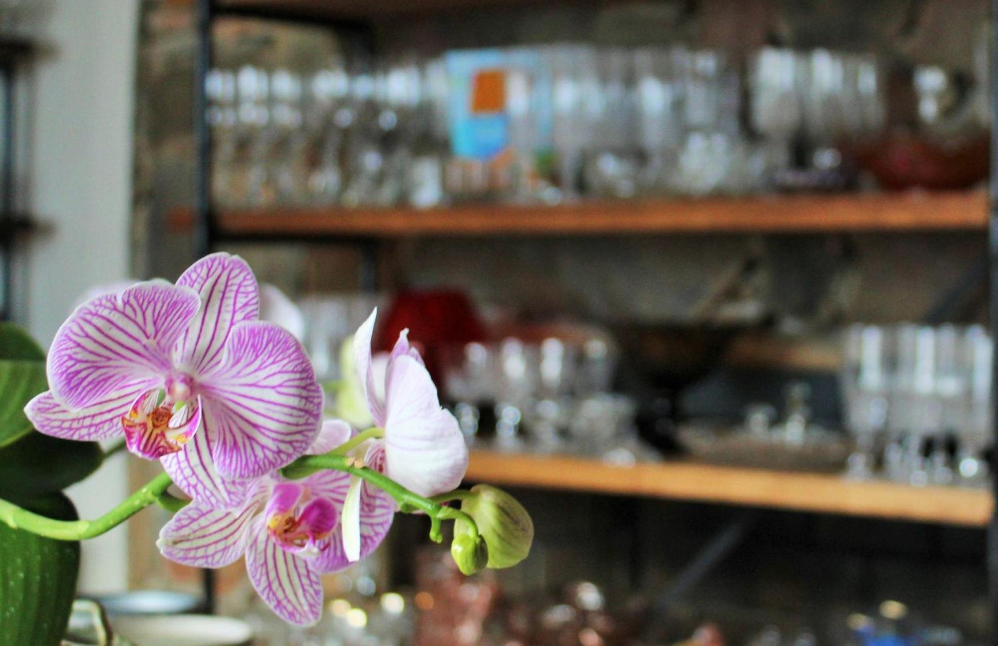 Barrydale Karoo - Boutique Hotel Екстериор снимка